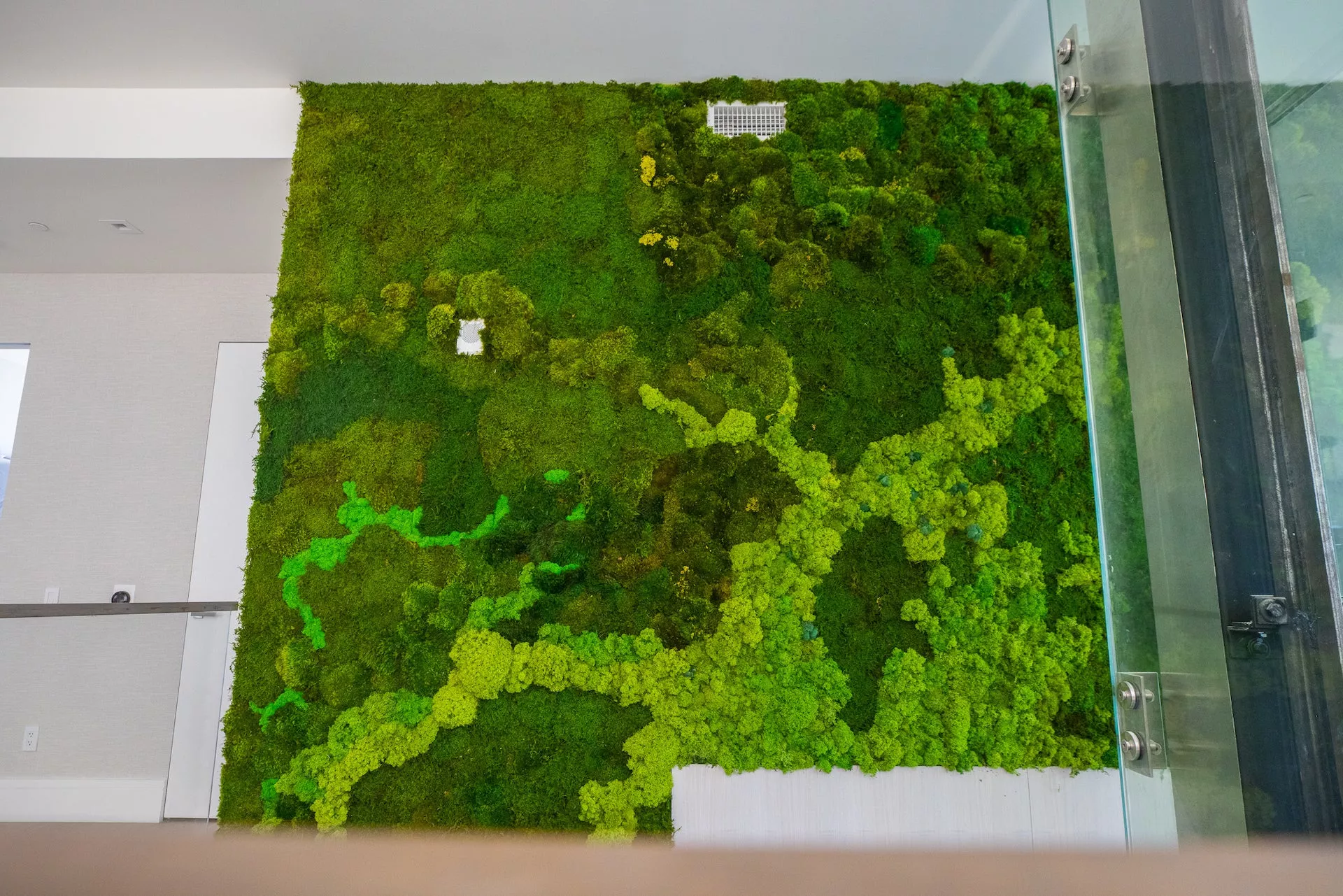 室内永生苔藓植物墙