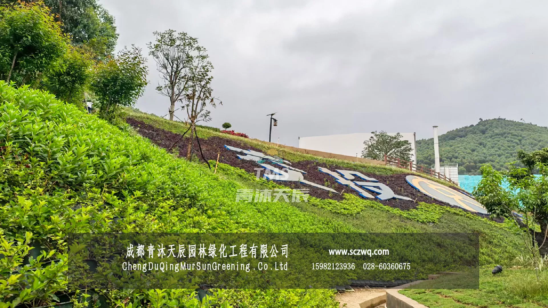 神山.市政公园边坡植物墙