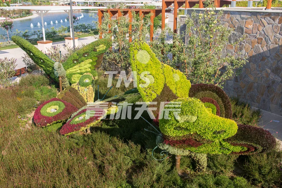 蝴蝶动物造型植物雕塑