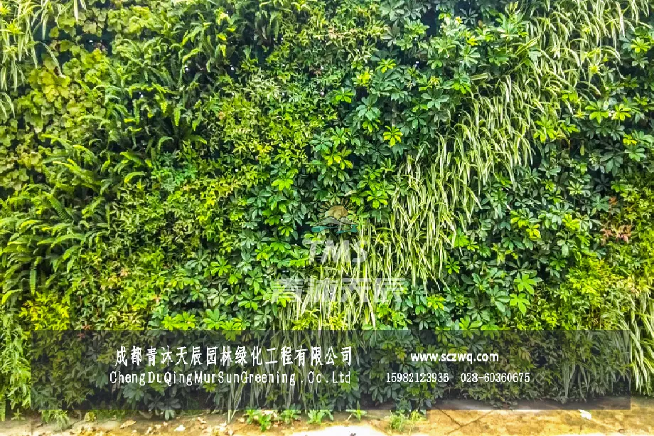 成都青羊区.外光华围挡植物墙