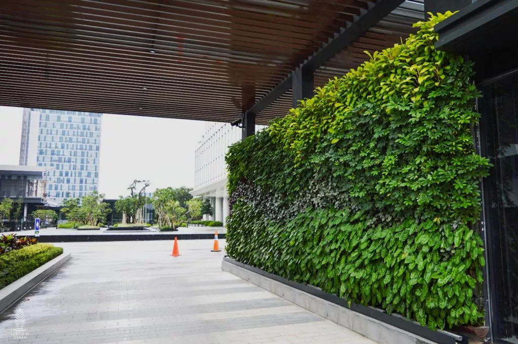 安徽植物墙施工，合肥室外绿植墙施工