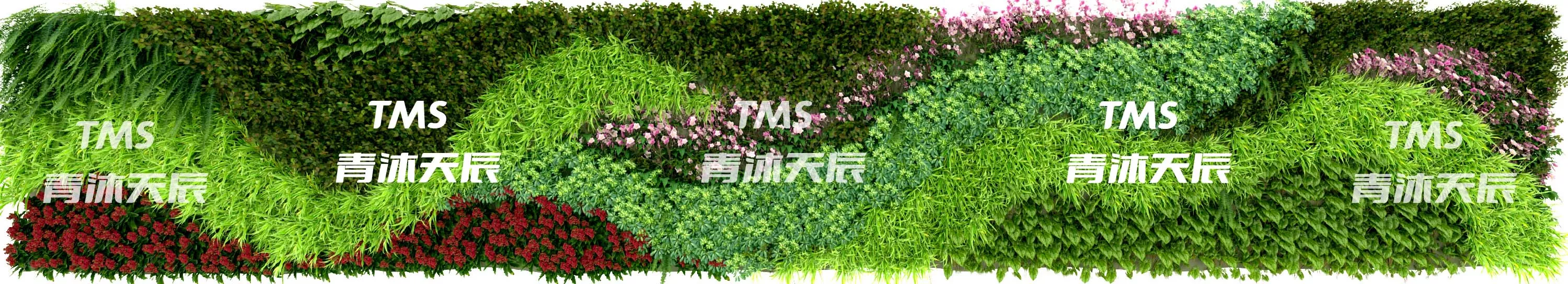 围墙绿化效果图造型