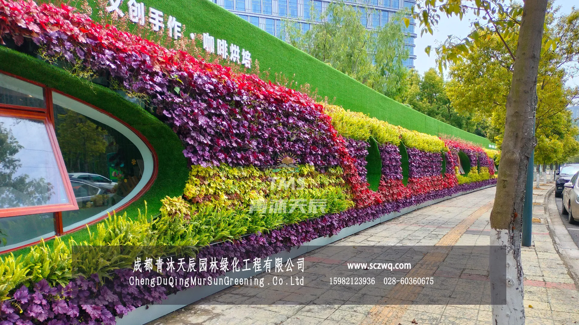 温江区.江平路咖啡驿站植物景墙