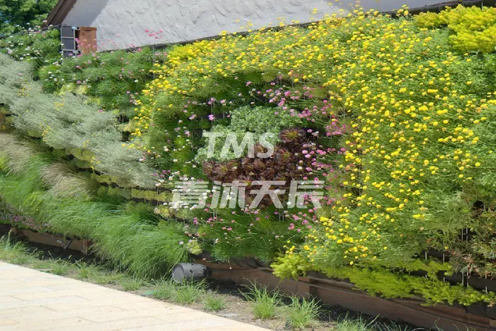 文章附图