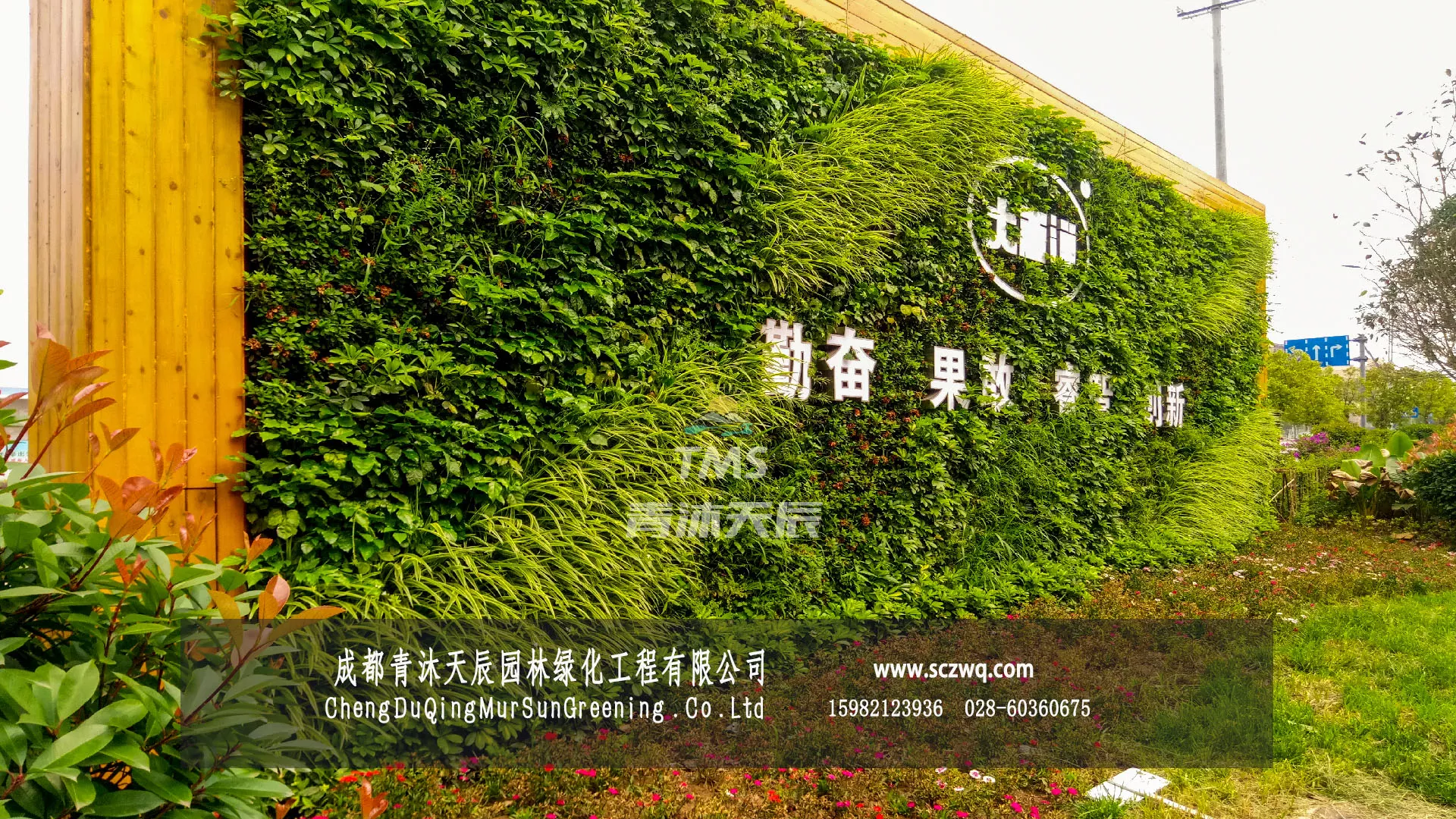 自贡.大西洋产业园室外企业文化展示双面植物墙