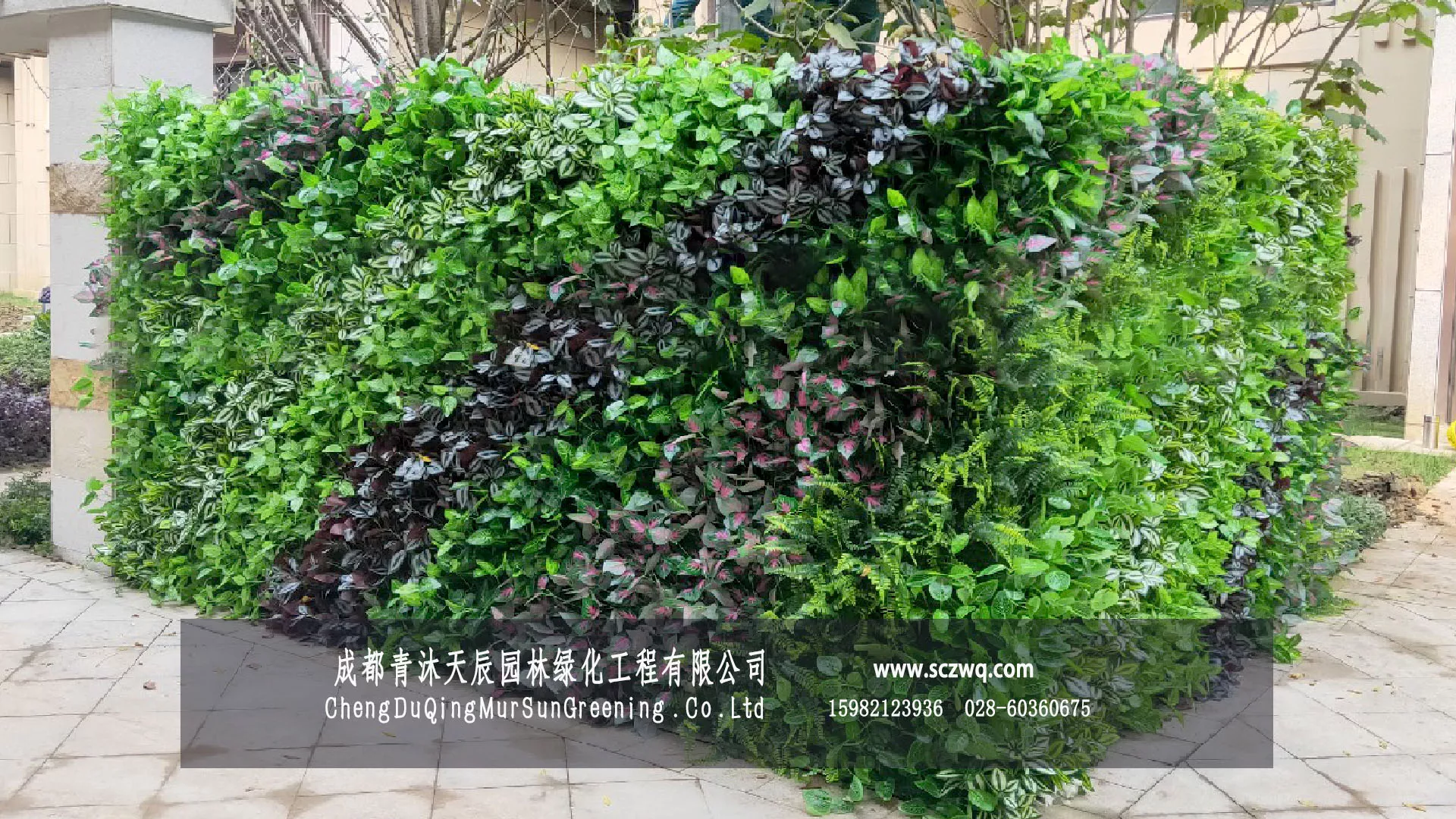 成都双流区华新.锦绣尚郡别墅仿真植物墙