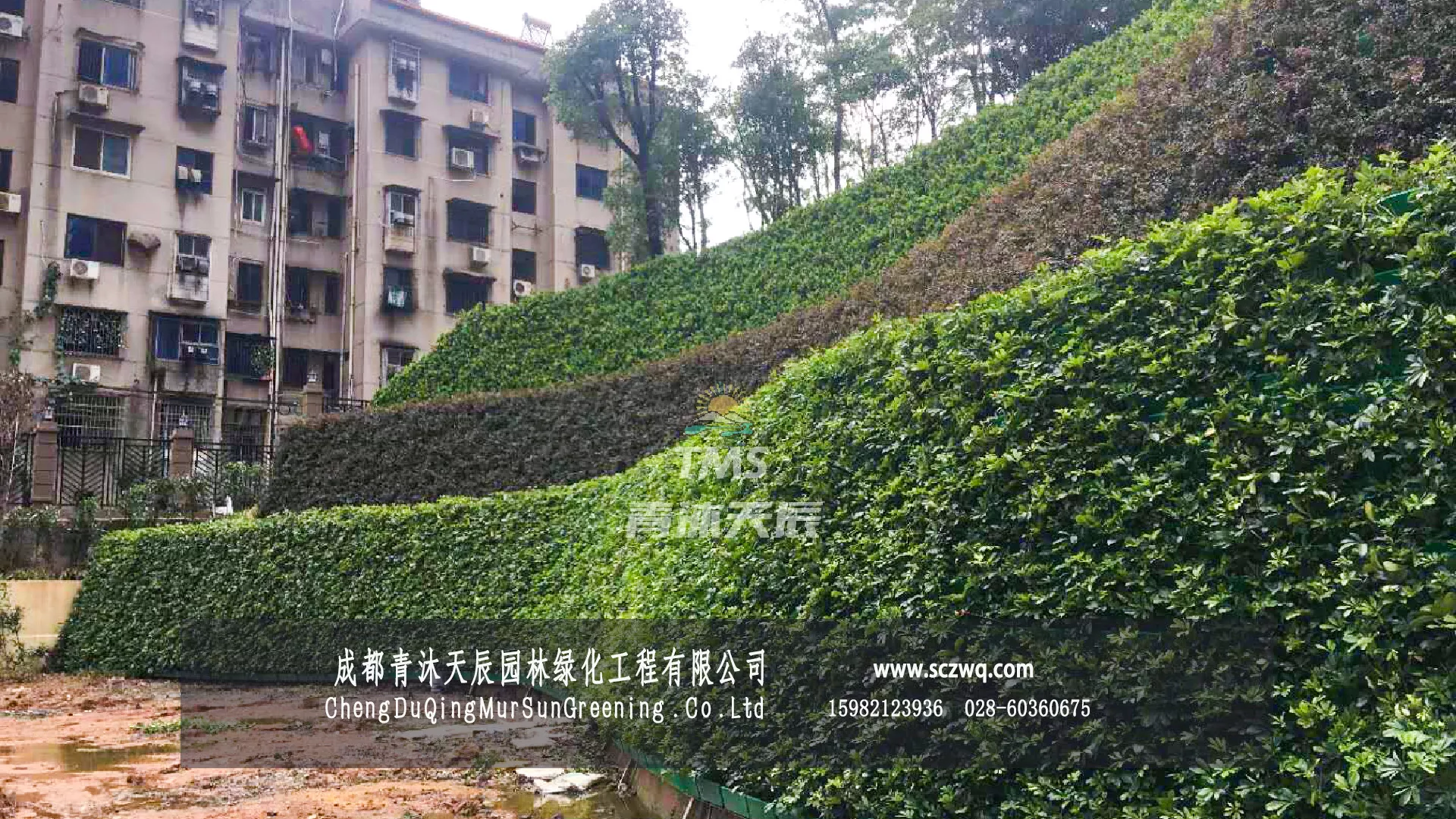 长沙.山体边坡植物墙