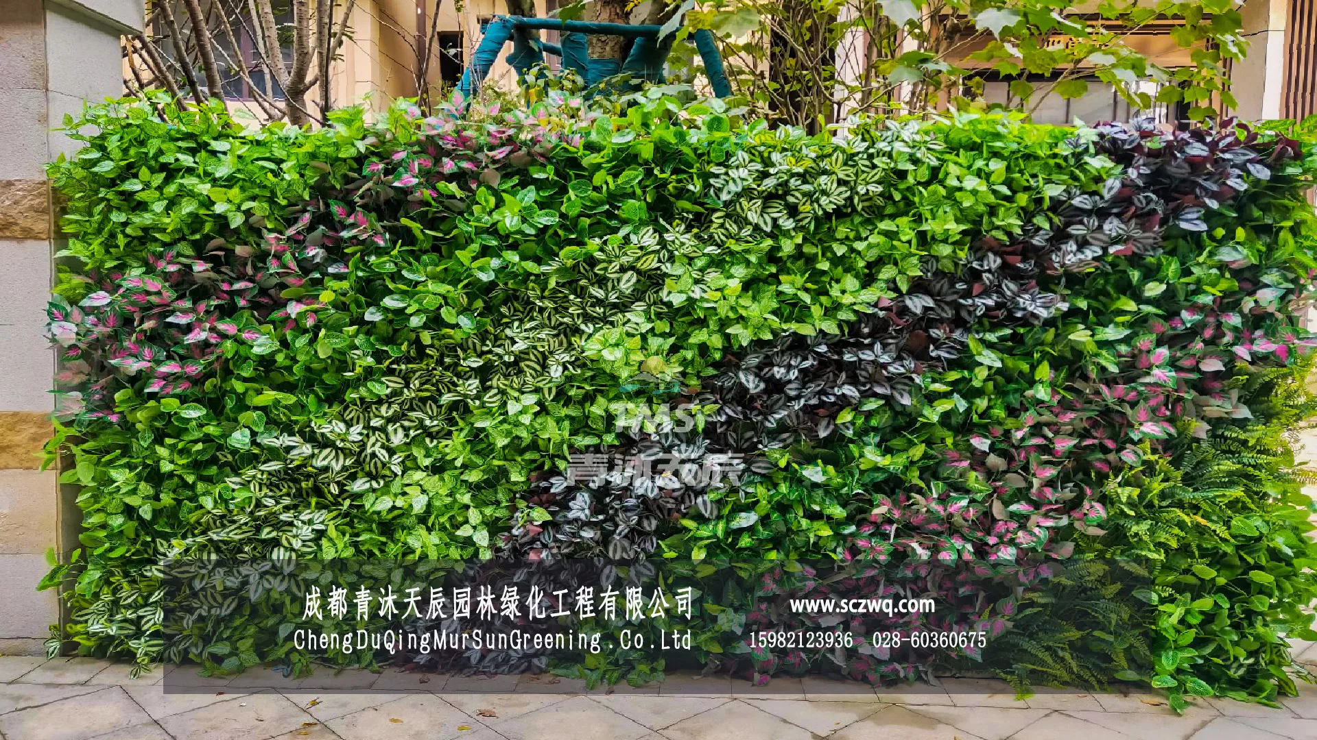 仿真植物墙