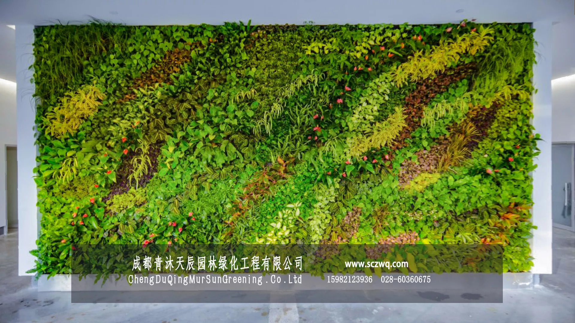室内前台接待处植物景墙