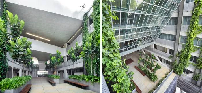 贵州植物墙施工，贵阳绿植墙施工单位