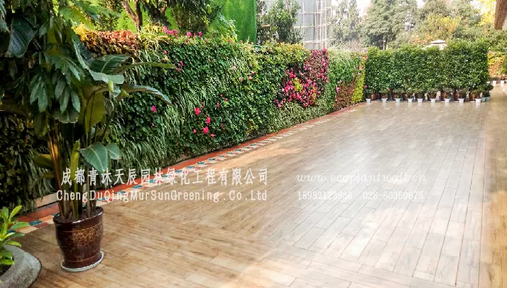 湖南植物墙施工，绿化墙施工企业