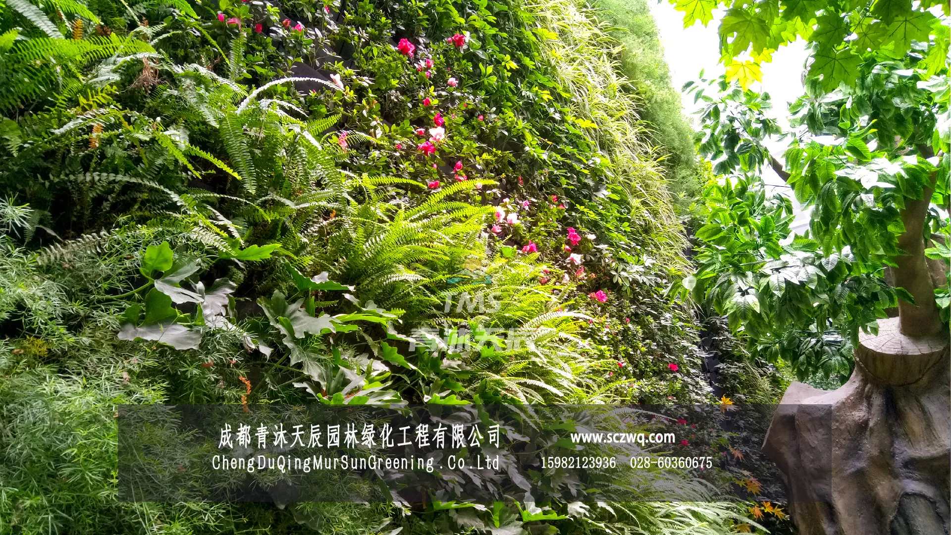 成都锦江.科技馆植物墙