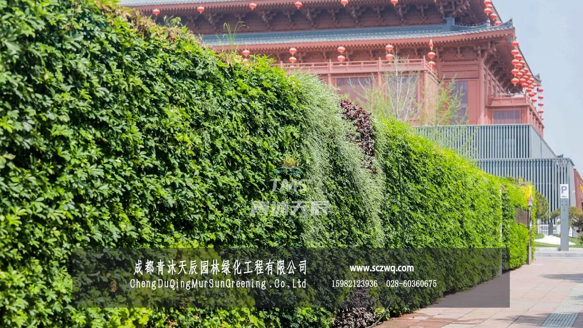 西安曲江新区围挡.植物墙项目