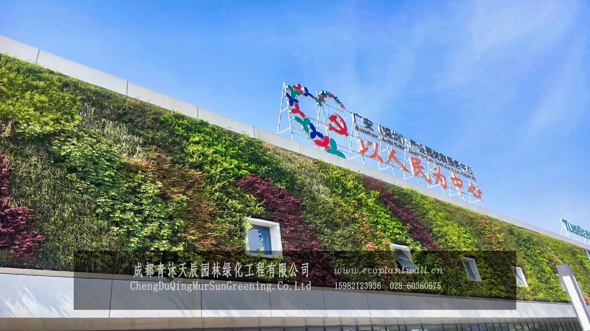 广东植物墙施工，广东绿植墙设计