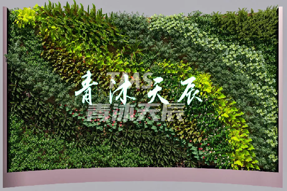 室内植物墙效果设计图