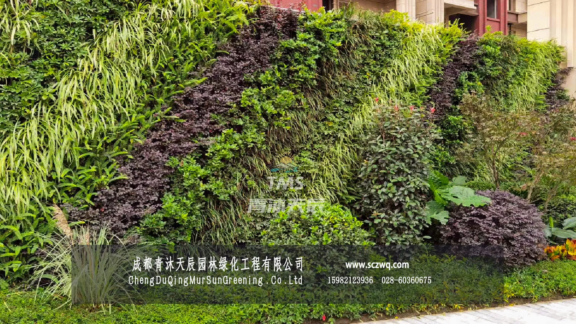 成都双流.华新锦绣尚郡花予墅别墅植物墙
