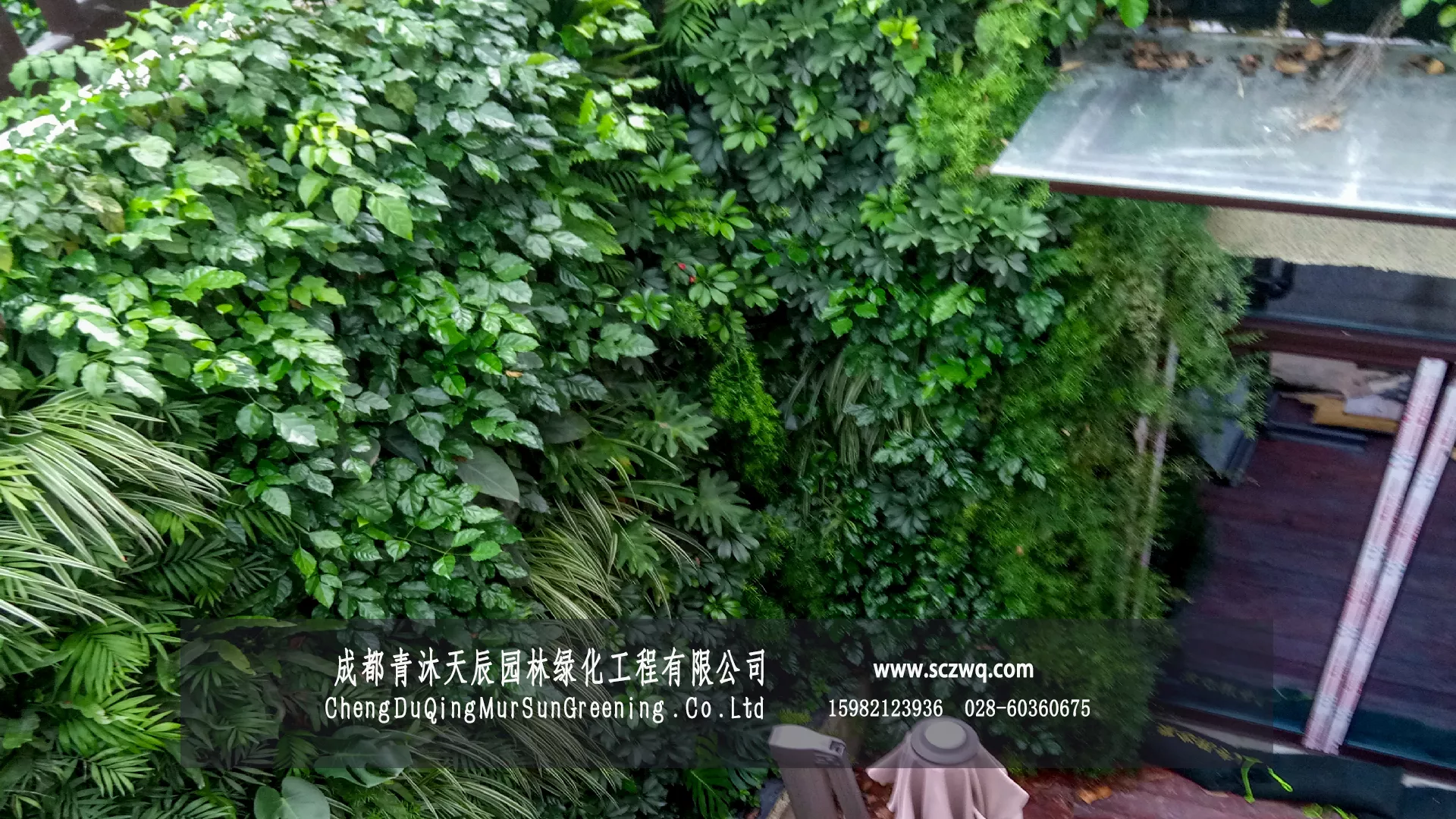 成都天府新区.南湖香麓别墅植物墙