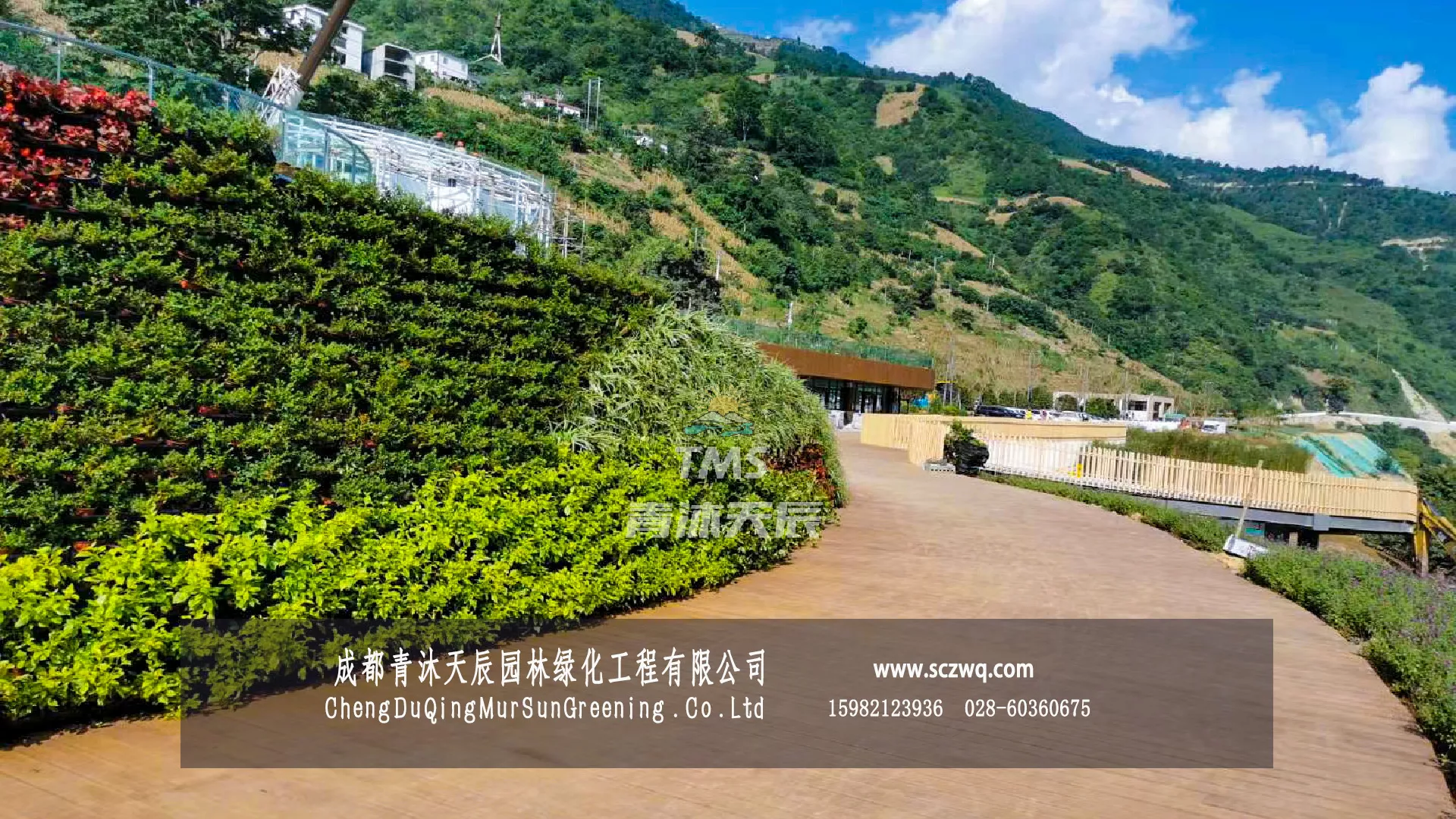 昆明.嵩明山体护坡植物墙
