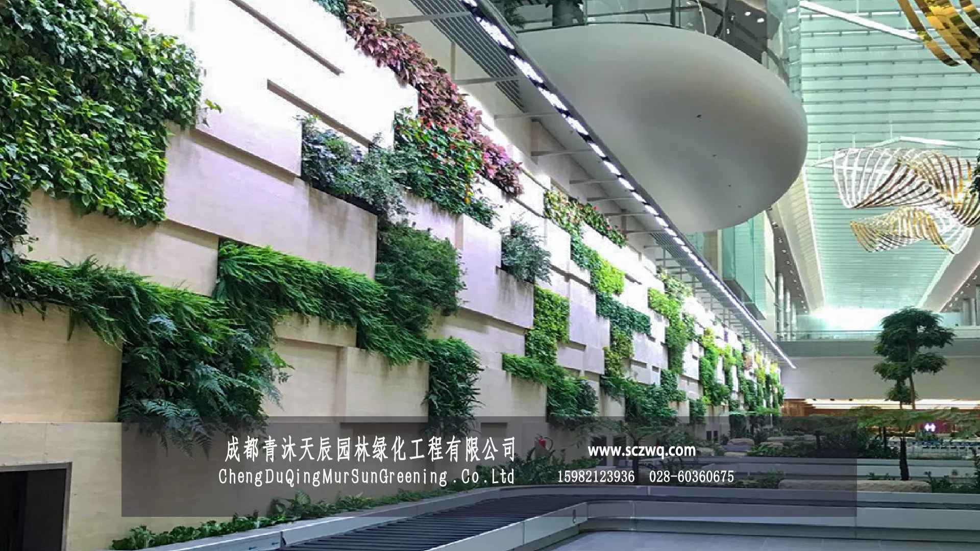 异形块状植物墙