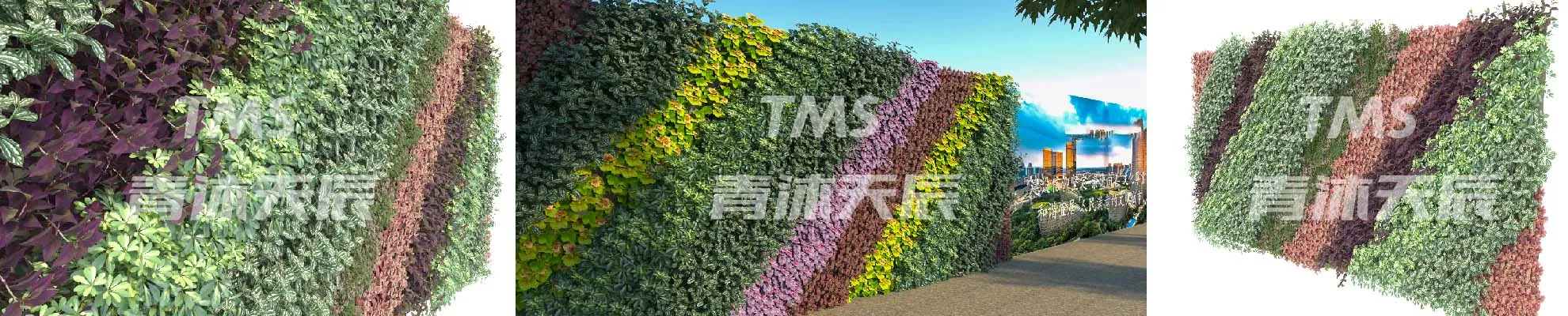 围墙绿植墙设计效果图