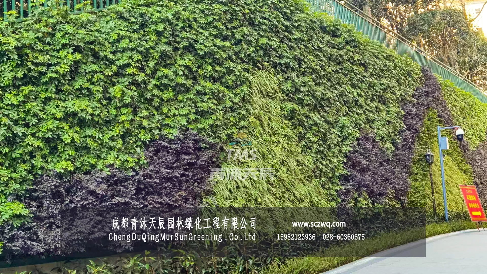 眉山.小区边坡植物墙