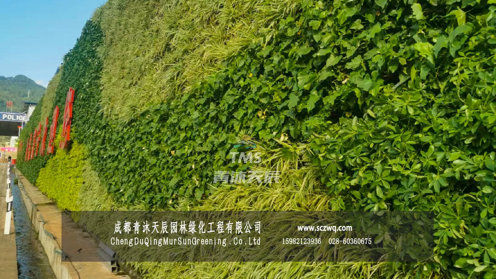 云南.文山富宁县植物挡墙护坡项目