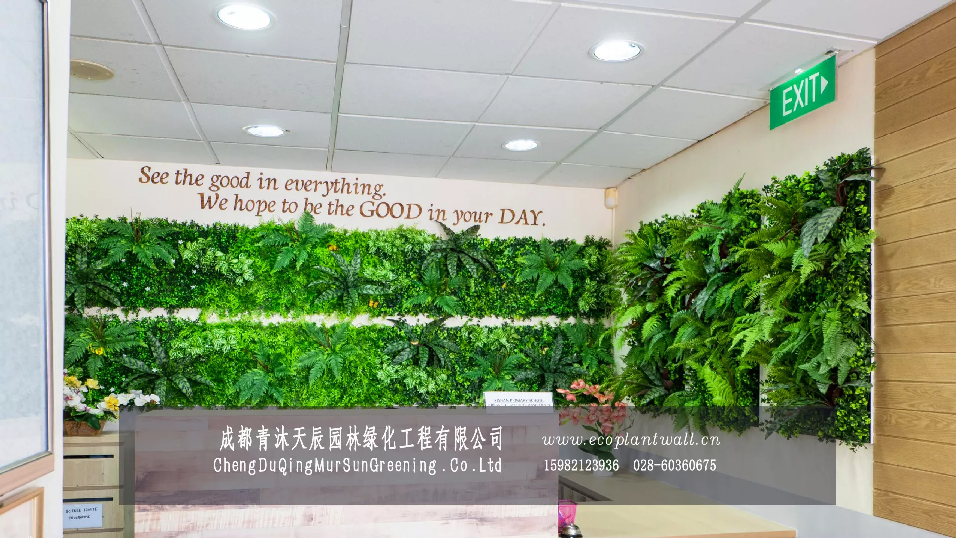 学校室内仿真植物墙