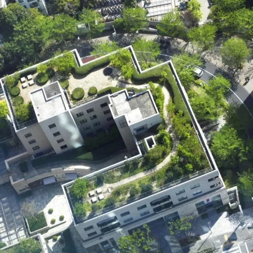 屋顶花园