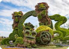 植物雕塑景观工程