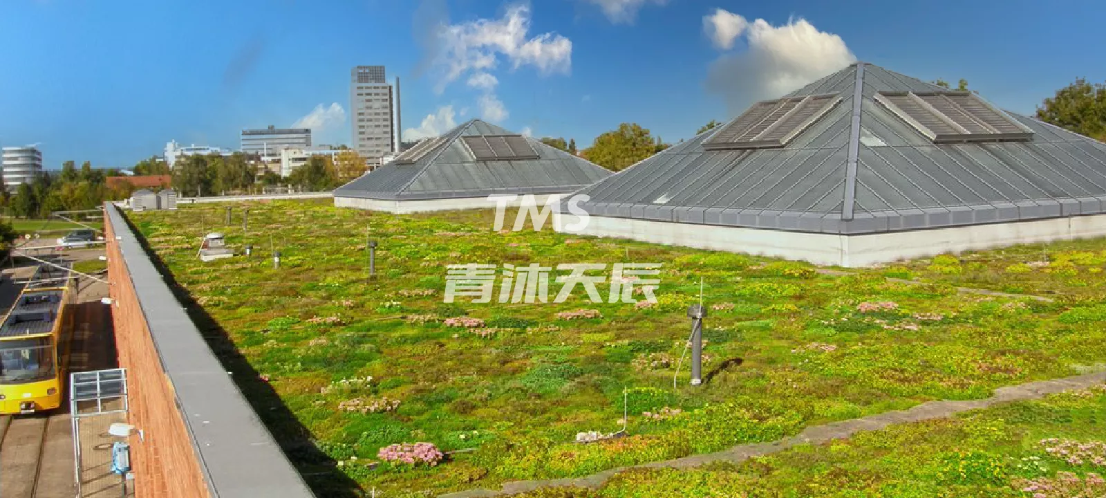 轻型屋顶模块绿化