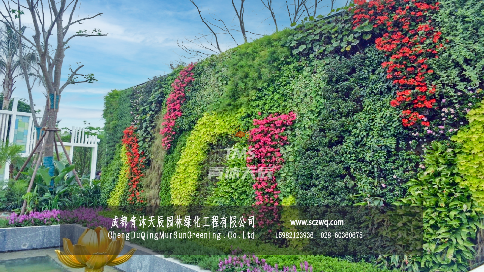 成都世界园艺博览会_澳门园植物墙.png 成都世界园艺博览会_澳门园植物墙.png