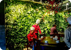 室内餐厅植物墙