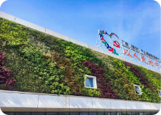 植物墙-生态建筑