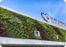 植物墙-生态建筑