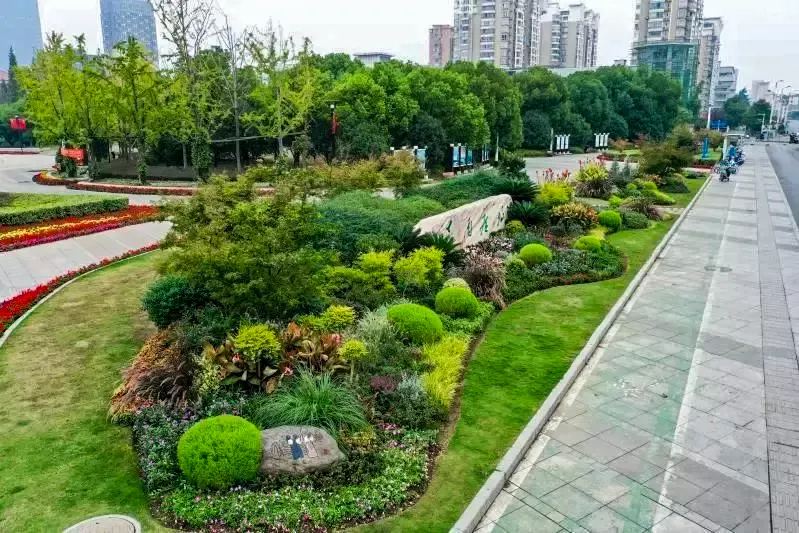 公路中心节点花境