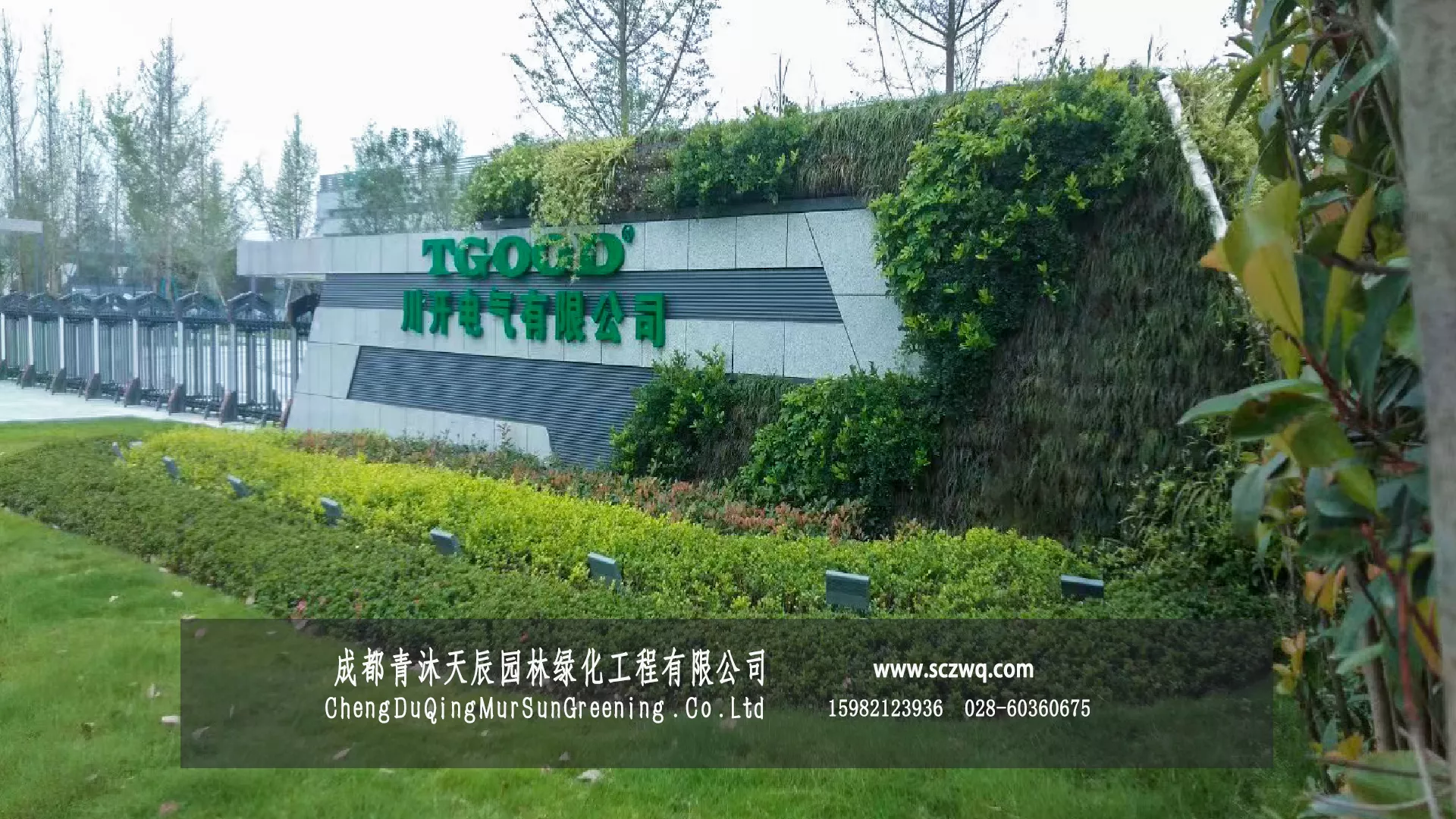 成都企业形象植物墙