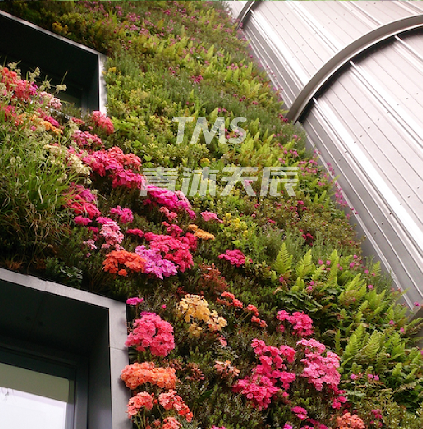 花卉植物在植物幕墙上的表现.jpg