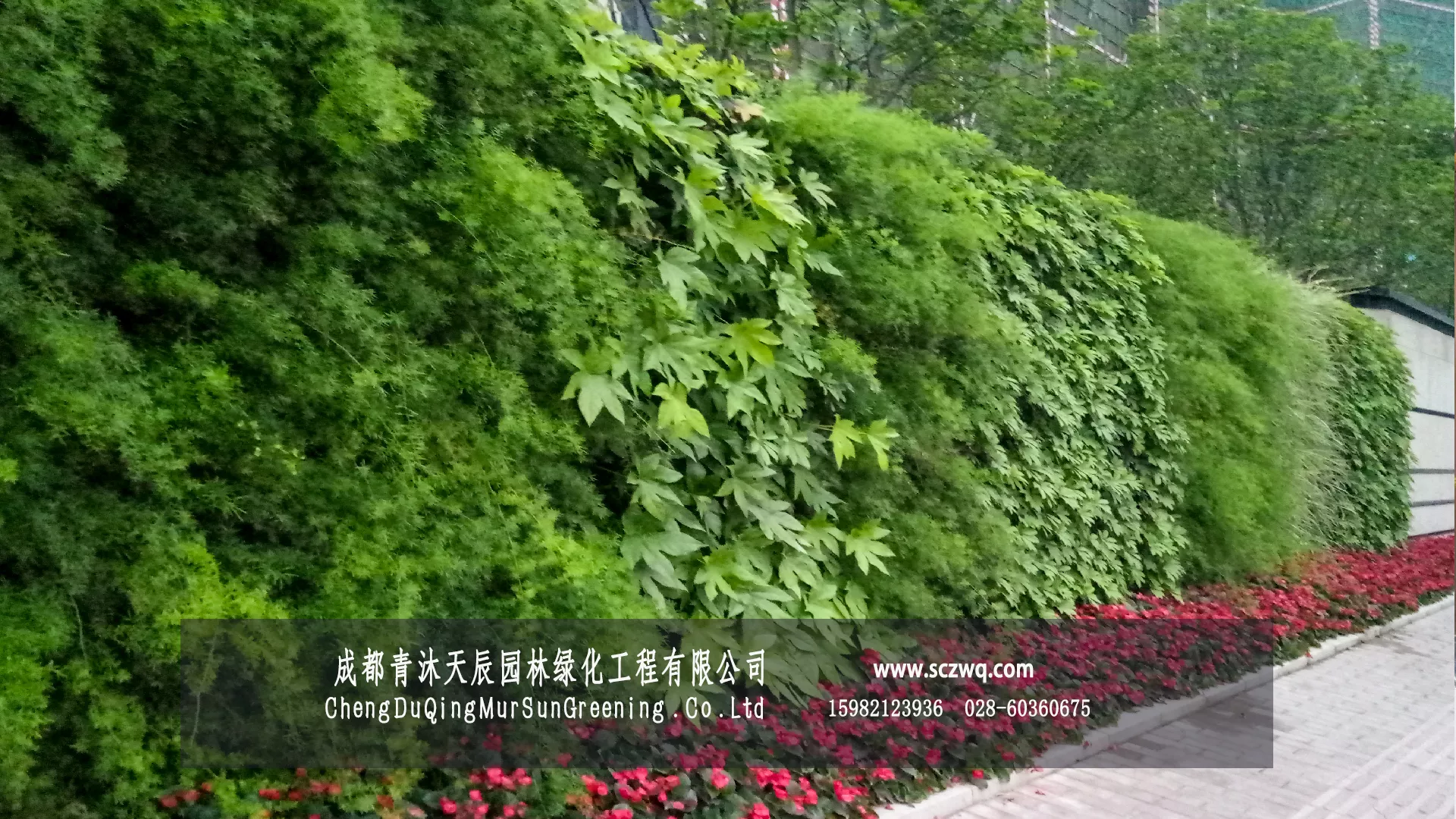 成都房产围墙绿化