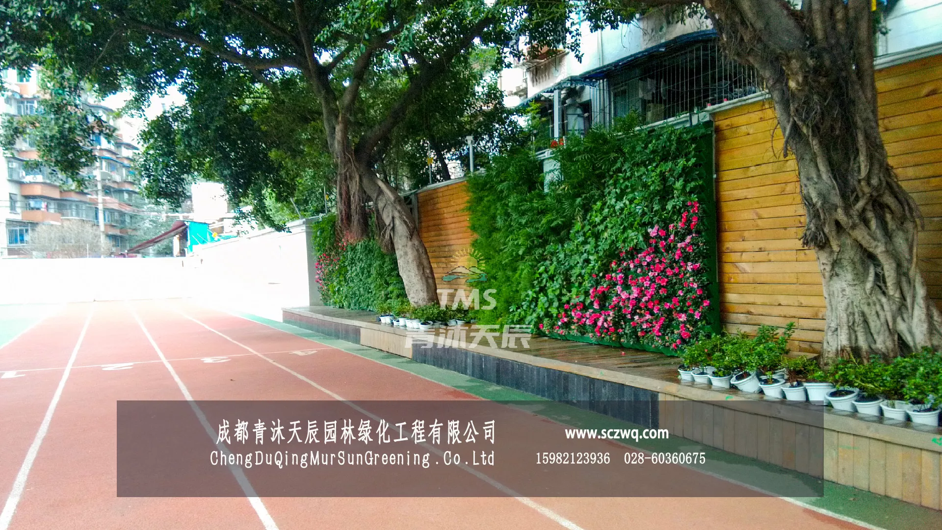 芳草小学植物墙