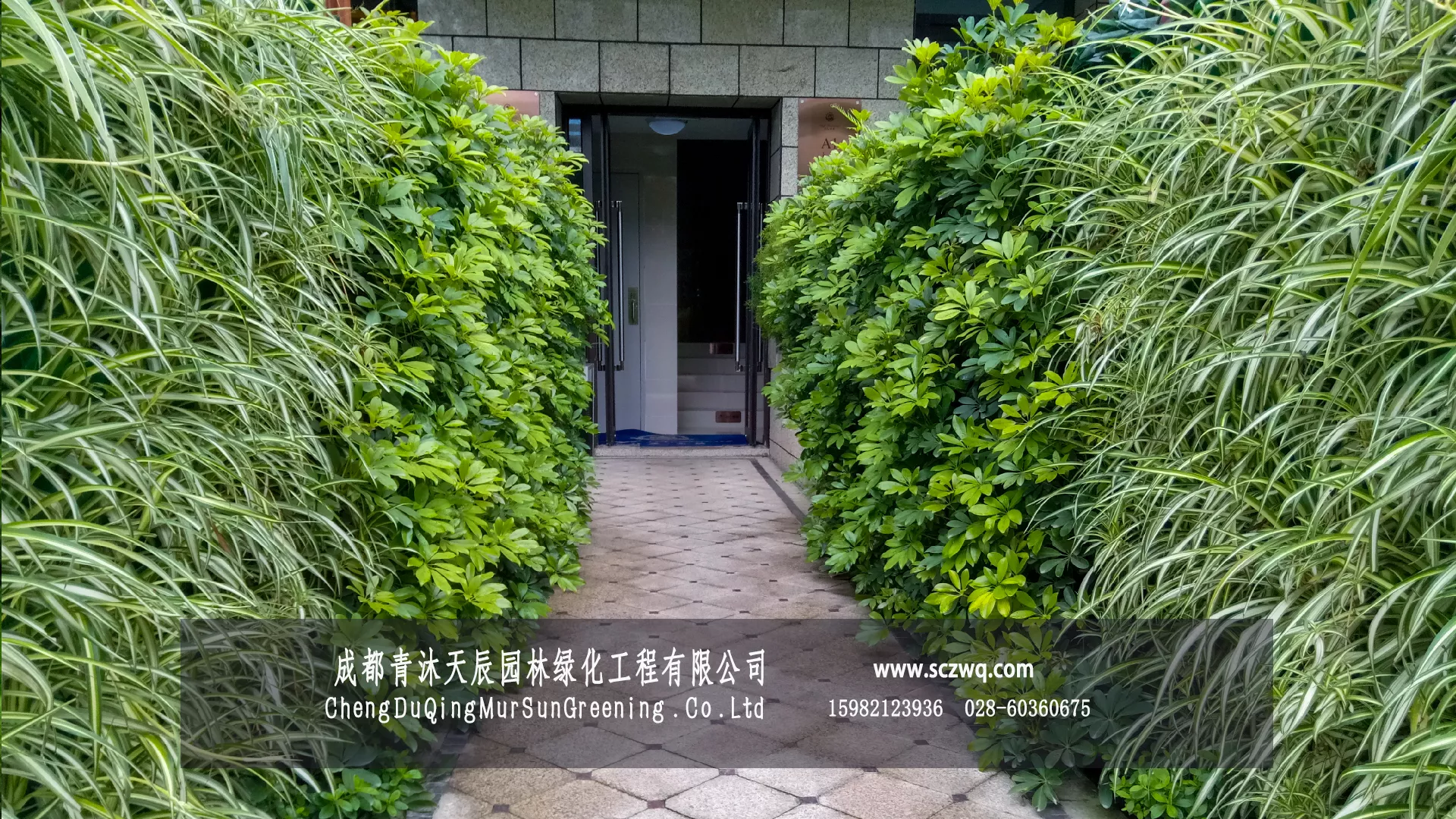 别墅庭院走廊绿化墙