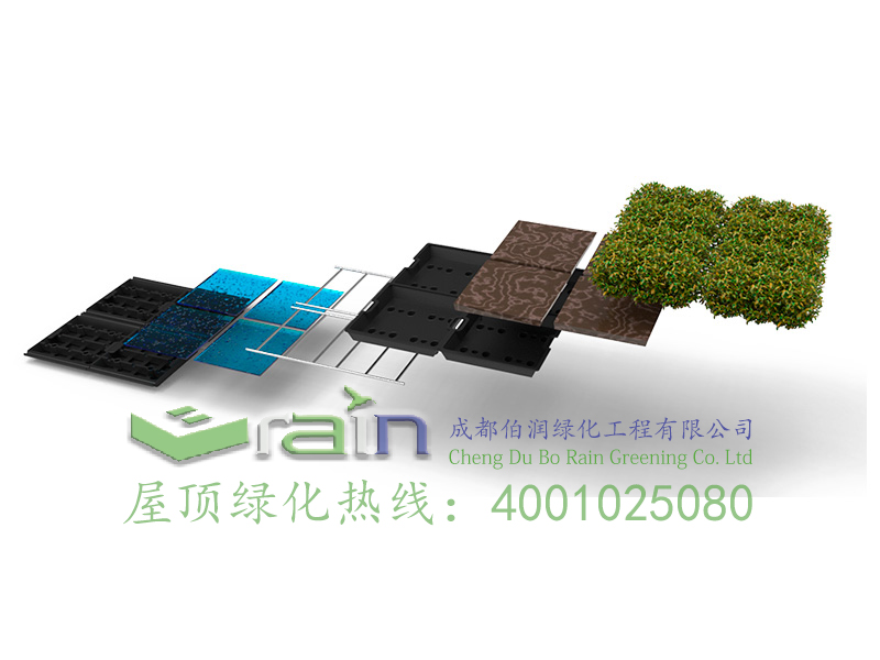 屋顶绿化系统：15982123936.jpg