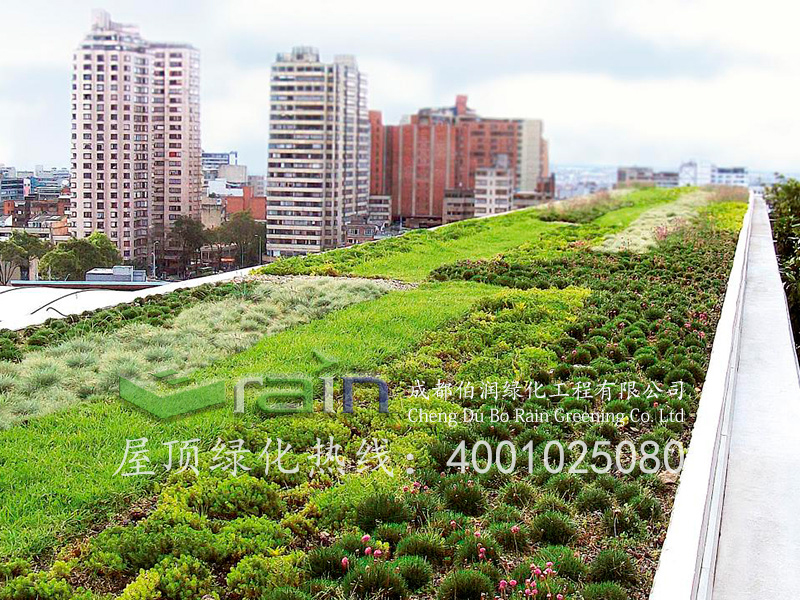 屋顶绿化施工：4001025080.jpg