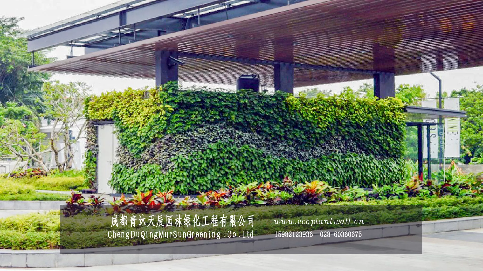 街区配电箱绿植墙美化