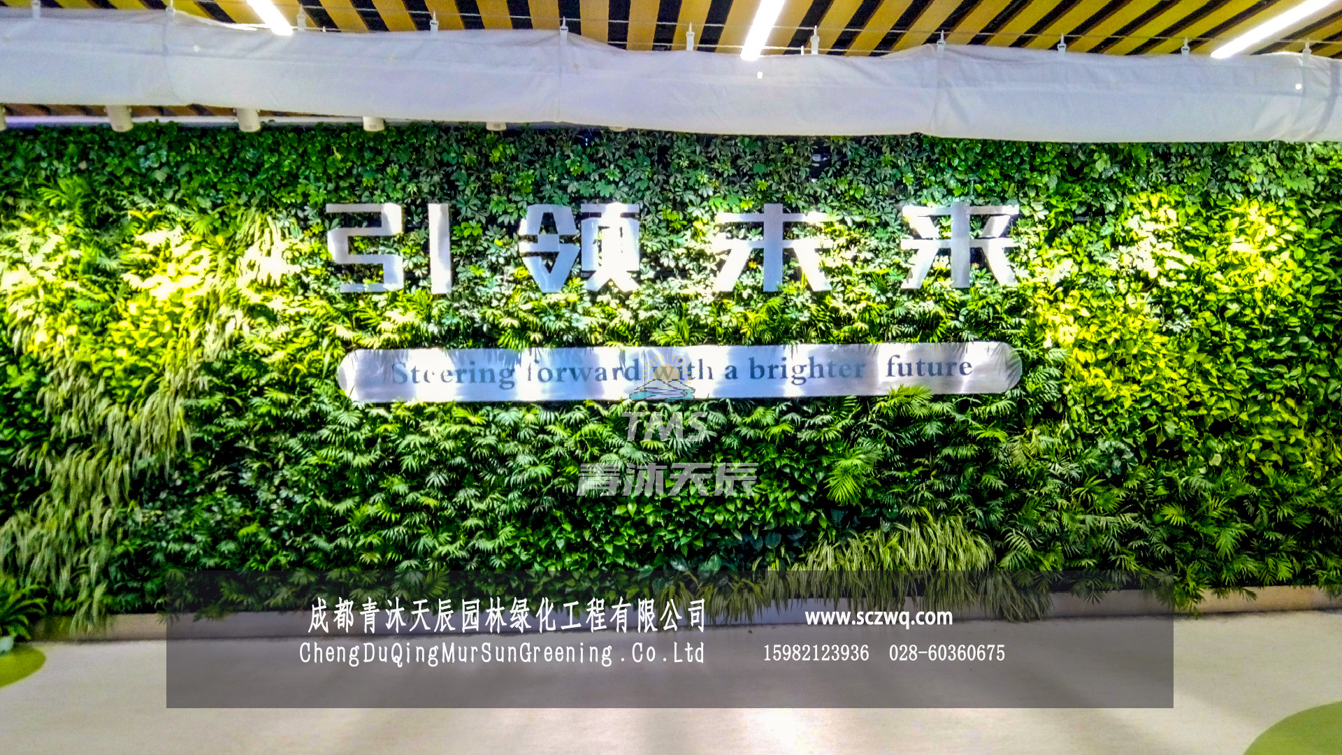 金苹果.锦城中学室内植物墙.jpg