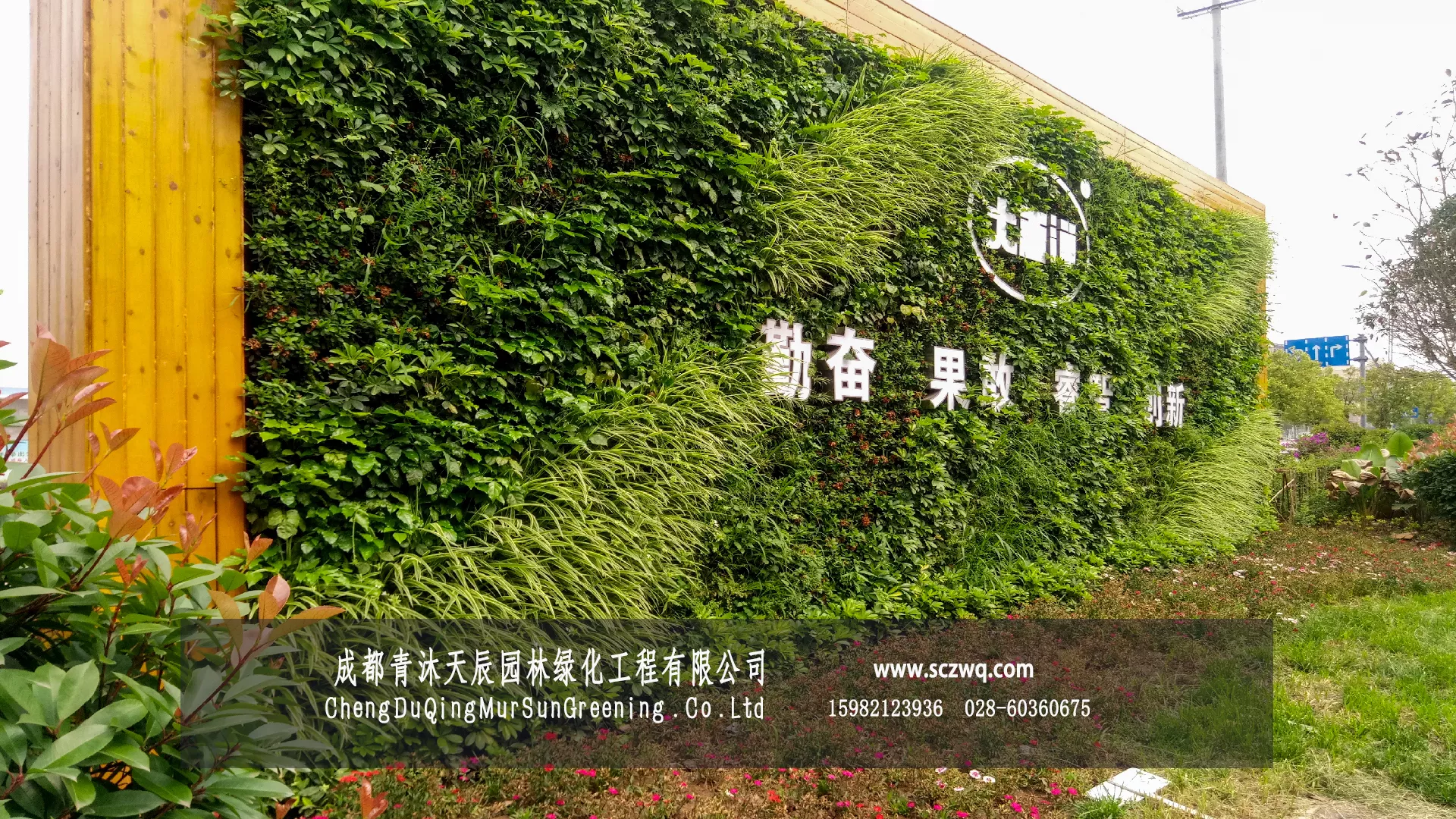 自贡企业形象植物墙