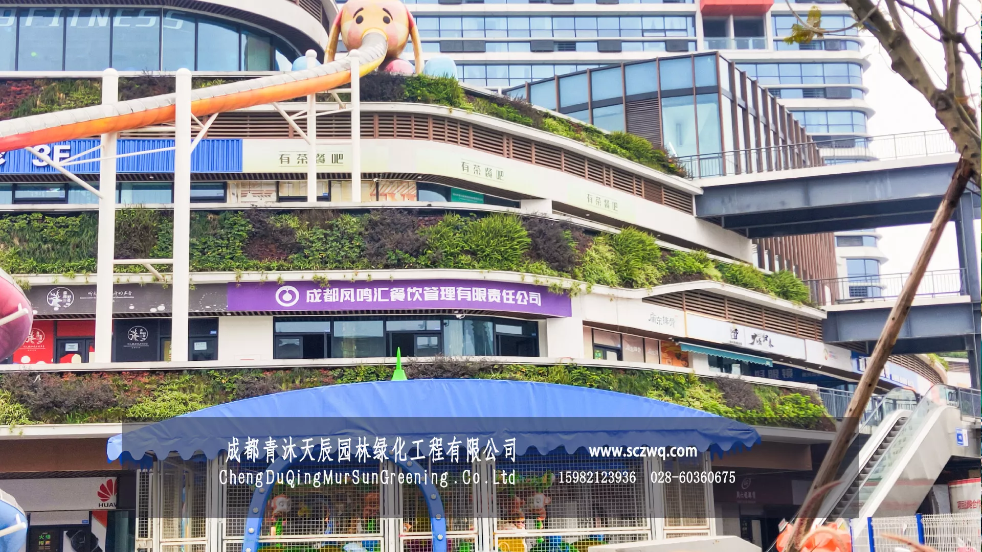 成都环财大广场绿植墙