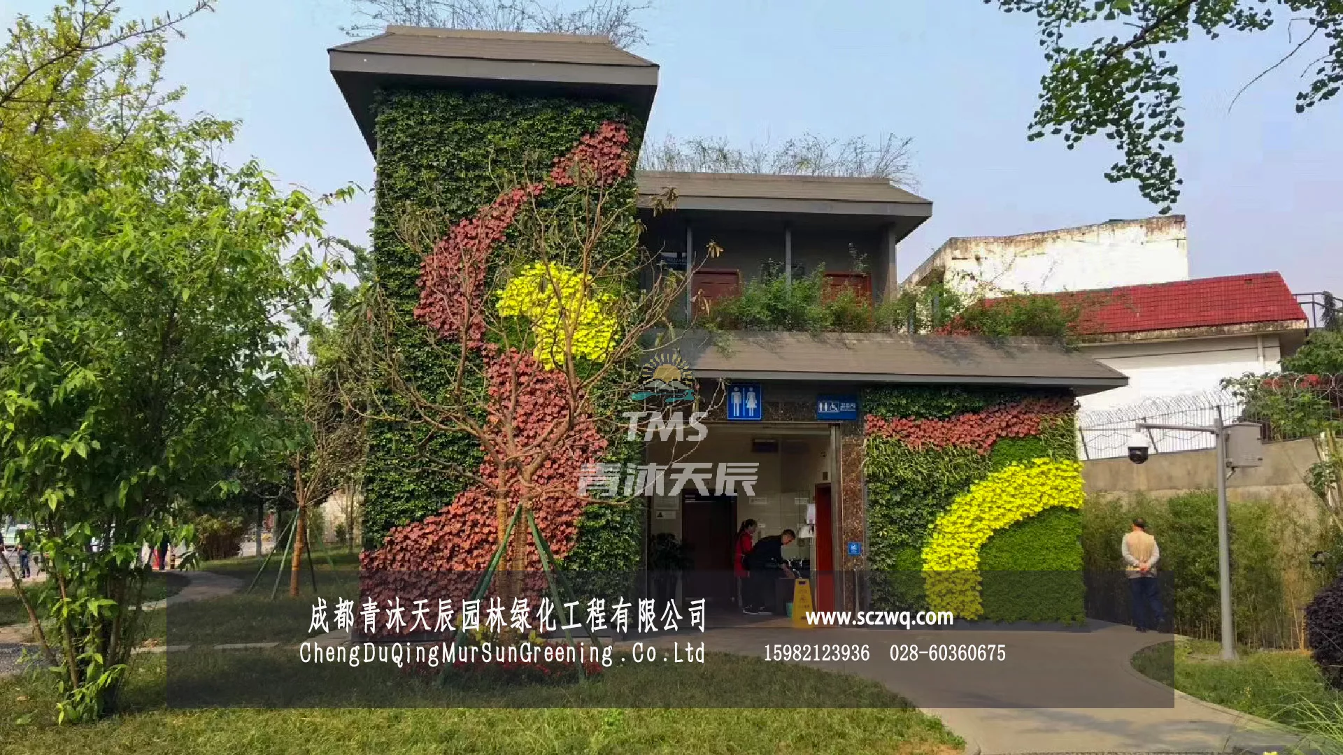 有效提升传统厕所的绿色清新环境
