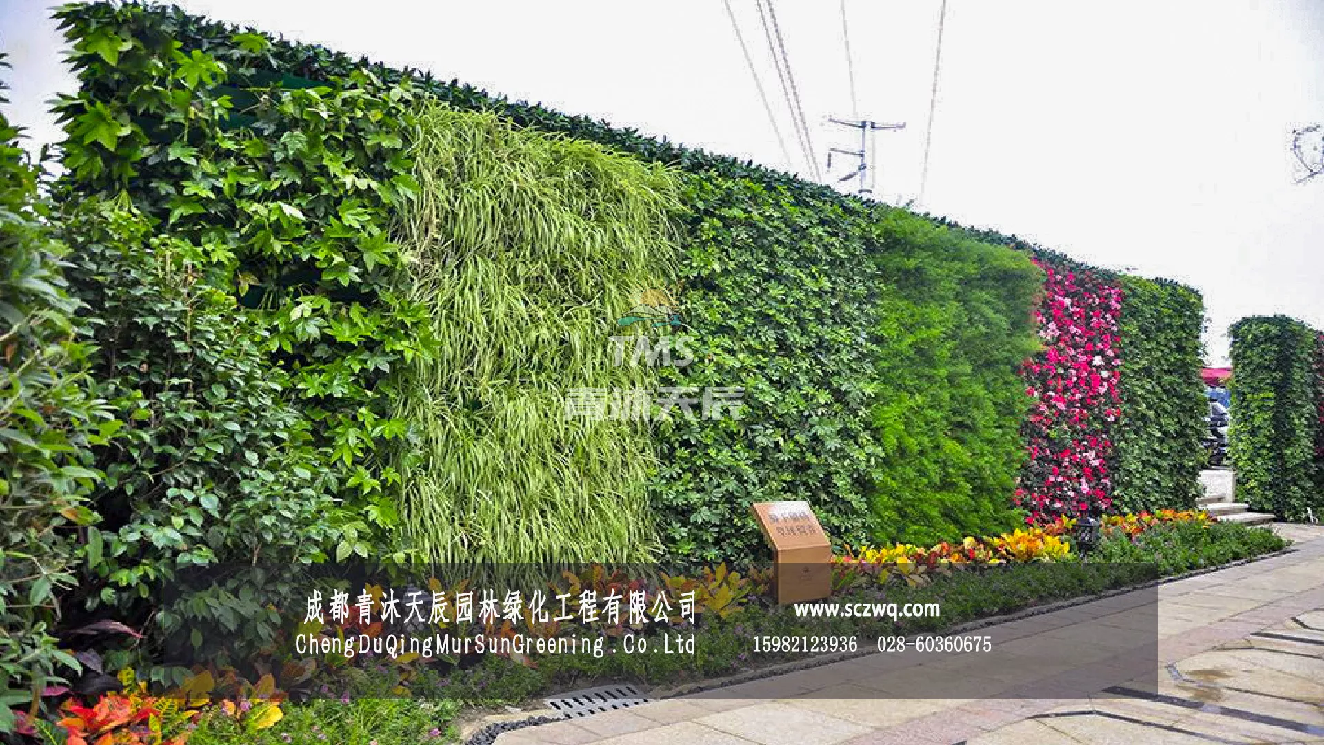 成都双流北辰香麓售楼部植物墙