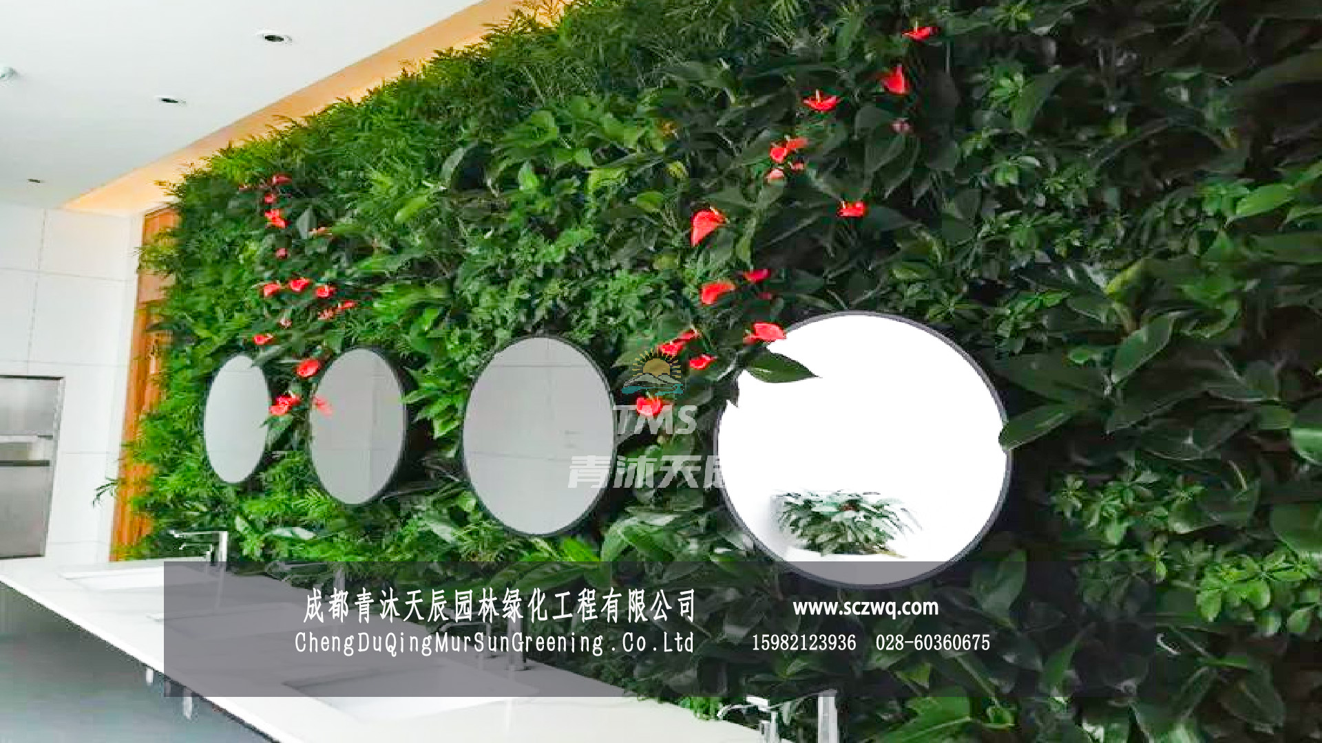 公厕内部的绿色植物景观
