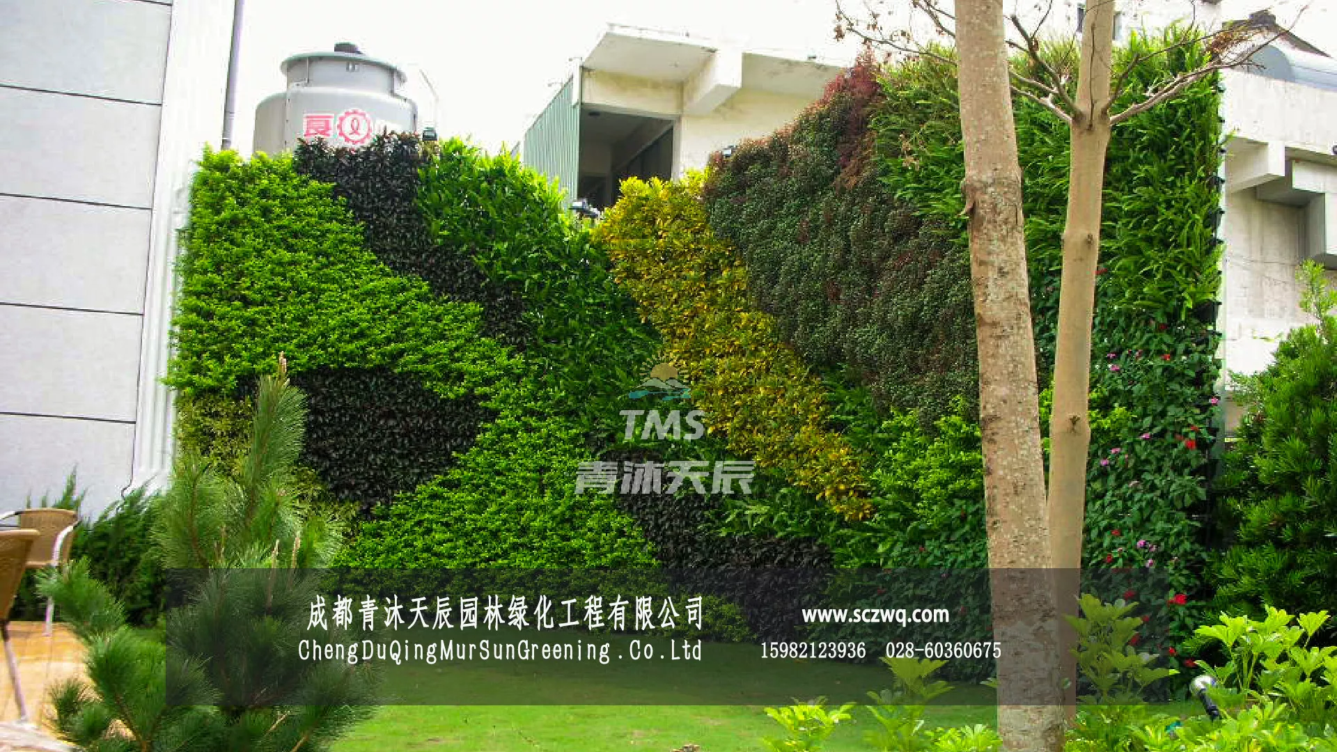 厕所环境提升改造植物墙